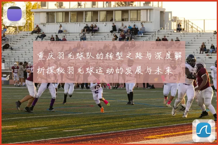 重庆羽毛球队的转型之路与深度解析探秘羽毛球运动的发展与未来