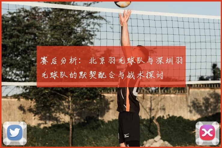 赛后分析:北京羽毛球队与深圳羽毛球队的默契配合与战术探讨