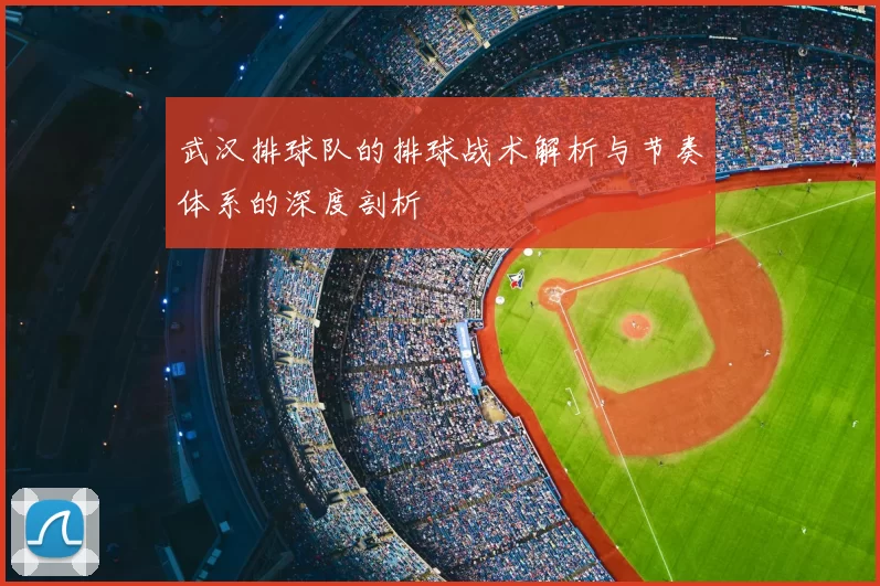 武汉排球队的排球战术解析与节奏体系的深度剖析