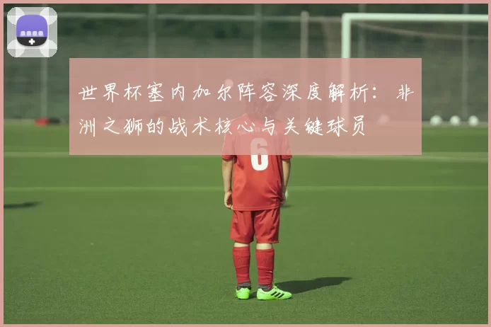 世界杯塞内加尔阵容深度解析:非洲之狮的战术核心与关键球员