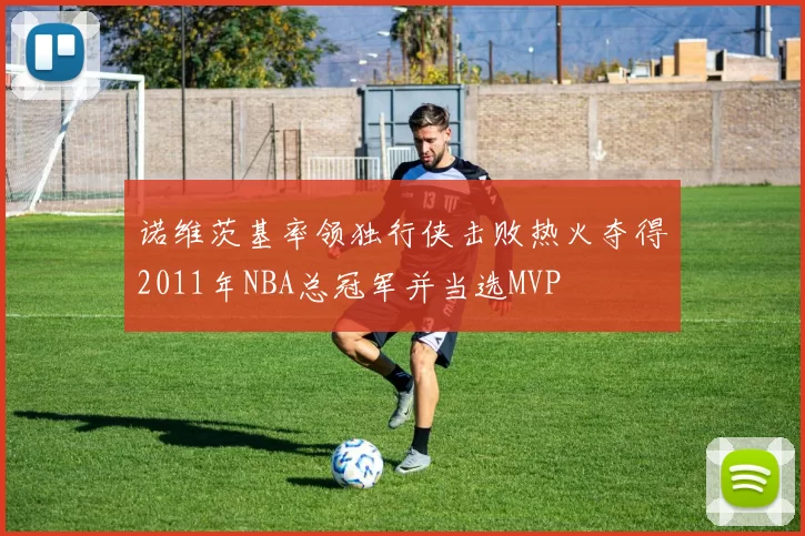 诺维茨基率领独行侠击败热火夺得2011年NBA总冠军并当选MVP