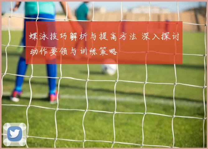 蝶泳技巧解析与提高方法 深入探讨动作要领与训练策略