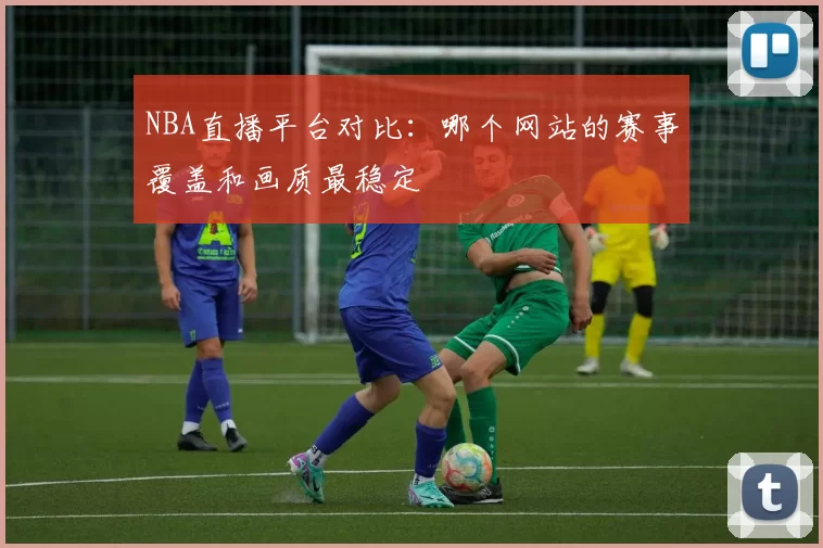 NBA直播平台对比:哪个网站的赛事覆盖和画质最稳定
