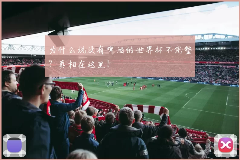 为什么说没有啤酒的世界杯不完整？真相在这里！