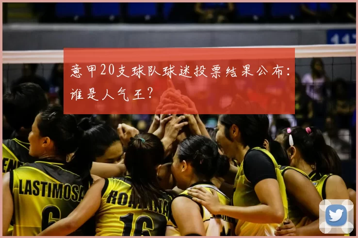 意甲20支球队球迷投票结果公布:谁是人气王?