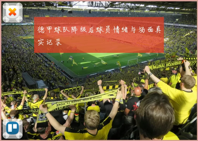 德甲球队降级后球员情绪与场面真实记录