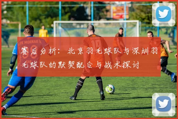 赛后分析:北京羽毛球队与深圳羽毛球队的默契配合与战术探讨