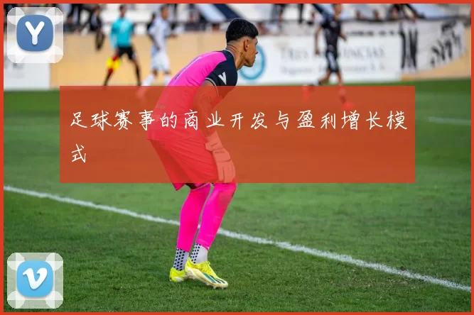 足球赛事的商业开发与盈利增长模式