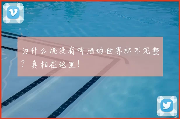 为什么说没有啤酒的世界杯不完整?真相在这里!