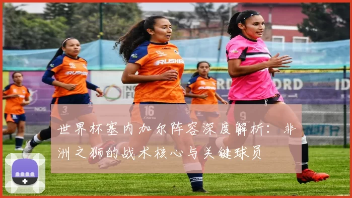 世界杯塞内加尔阵容深度解析:非洲之狮的战术核心与关键球员
