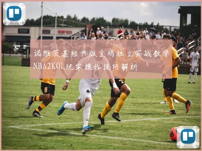 诺维茨基经典版金鸡独立实战教学NBA2KOL玩家操作技巧解析